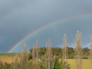 Scenic view of rainbow over trees on field against sky