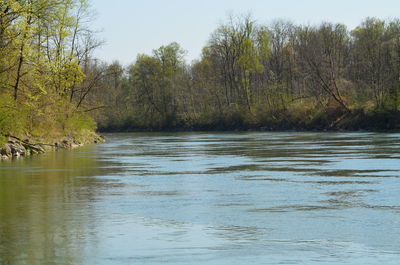 Scenic view of river in forest against sky