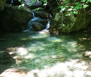 Scenic view of waterfall in forest