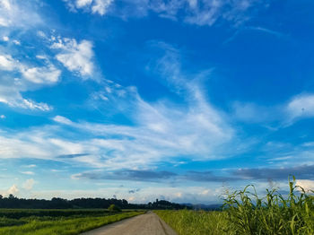 Road passing through field