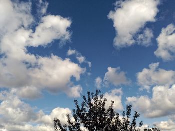 Low angle view of tree against cloudy sky