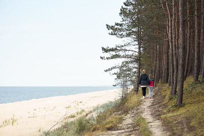 Rear view of people walking at beach against clear sky