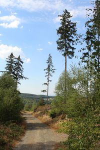 Road amidst trees in forest against sky