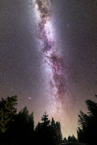 Low angle view of silhouette trees against sky at night