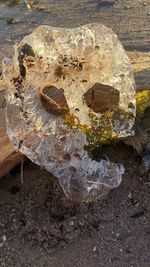 High angle view of rock on beach