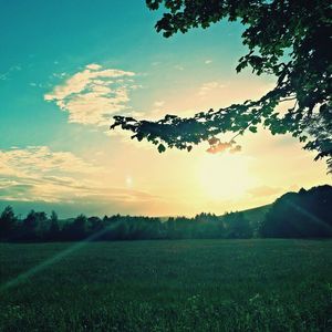 Scenic view of landscape at sunset