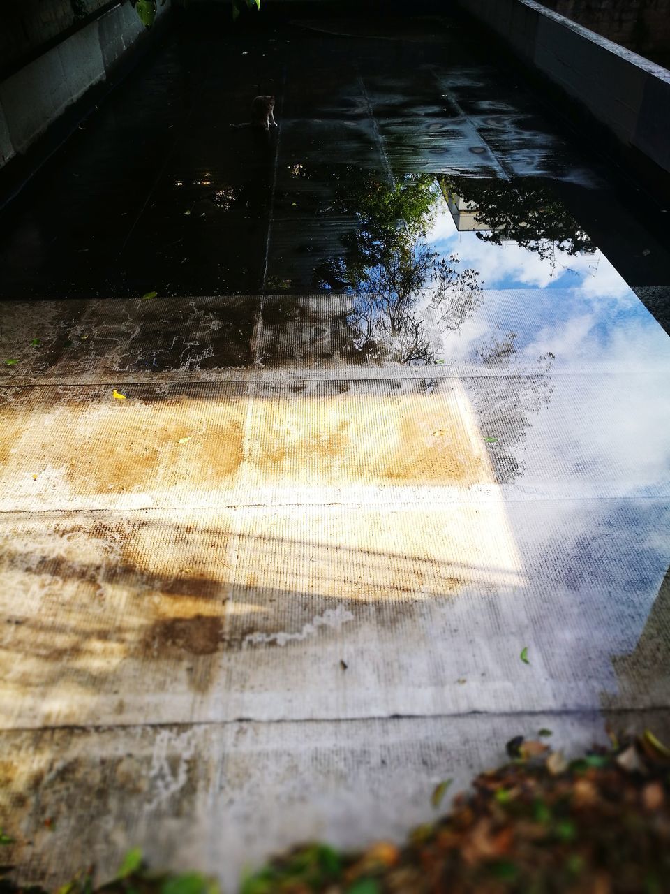 HIGH ANGLE VIEW OF GLASS WINDOW IN OLD BUILDING