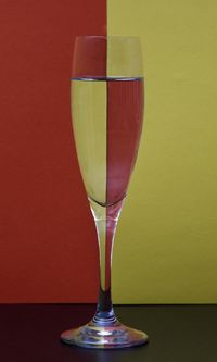 Close-up of champagne glass on table against wall