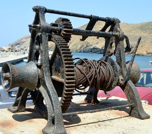 Close-up of horse on beach