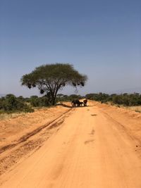 Road by trees on landscape against clear sky