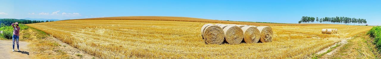 Hay bales on field against sky