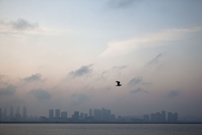 Sea by city against sky during sunset