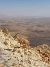 View of a desert