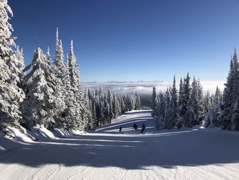 Scenic view of snowcapped mountains against clear blue sky