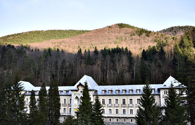 Trees and buildings against sky during winter