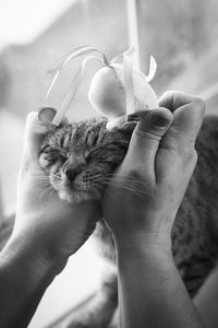 Cropped image of woman holding stuffed mouse on cat