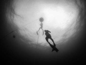 Low angle view of silhouette man swimming underwater