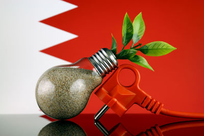 High angle view of christmas decorations on table