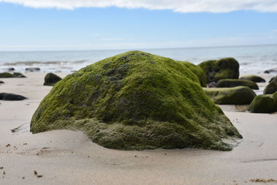 Close-up of rocks on beach