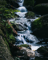 Scenic view of waterfall in forest