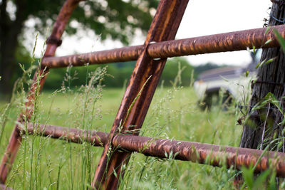Close-up of rusty chain on field