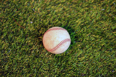 High angle view of ball on grassland