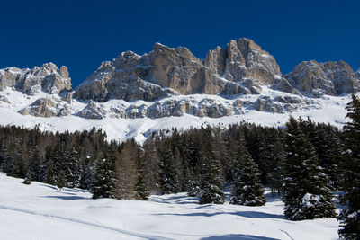 Snow covered trees and mountains against clear sky