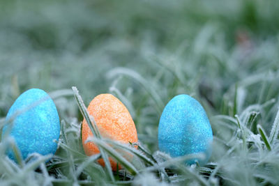Close-up of colorful easter eggs