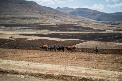 People on field against mountain range