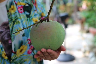 Close-up of hand holding apple