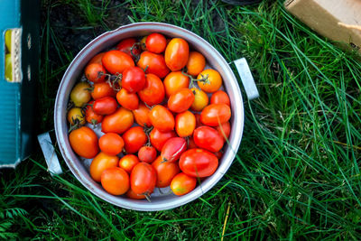 High angle view of strawberries in bowl