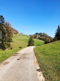 Scenic view of road amidst trees against clear sky