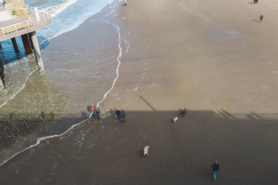 People on beach against sky