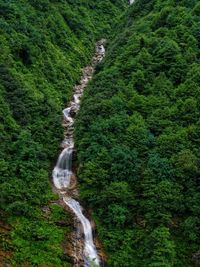 Scenic view of waterfall amidst trees in forest