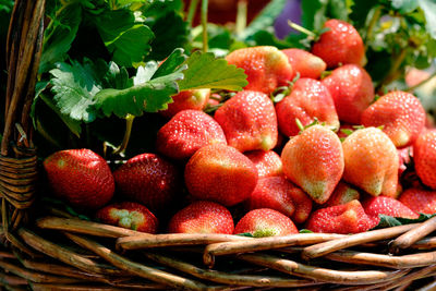 Close-up of strawberries in basket