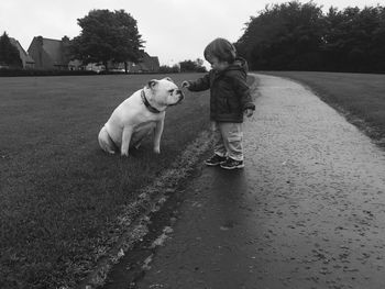 Baby boy playing with bulldog on field