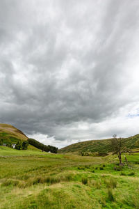 Scenic view of green landscape against sky