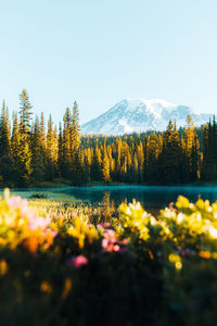 Scenic view of lake and mountains against sky