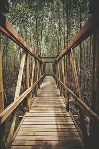 Footbridge over wooden bridge