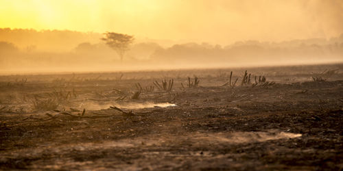 Scenic view of field against sky during sunset