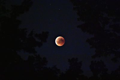 Low angle view of moon against sky at night