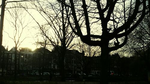 Bare trees against sky at sunset