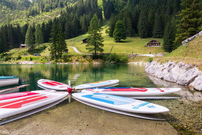 Boats moored on lake by trees