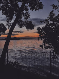 Silhouette trees by lake against sky during sunset