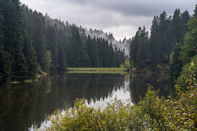 Scenic view of lake in forest against sky