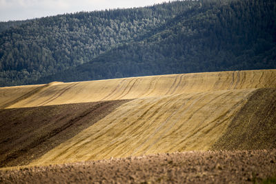 Scenic view of field against mountains