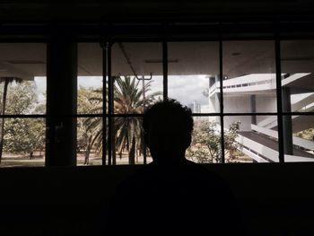 View of tree against sky