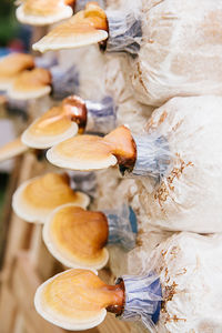 Close-up of bread on table