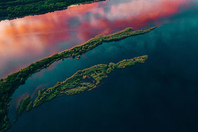 High angle view of plants on landscape