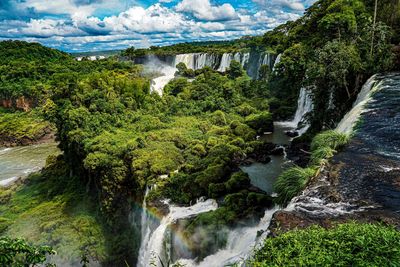 Scenic view of waterfall in forest